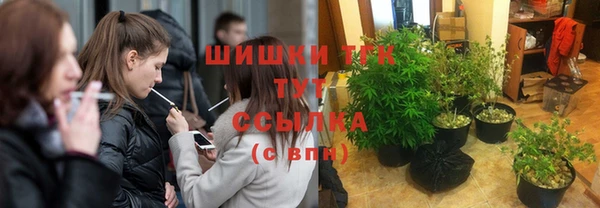 дурь Елабуга