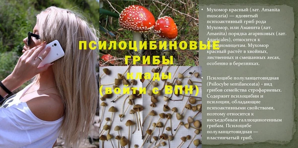 дурь Елизово