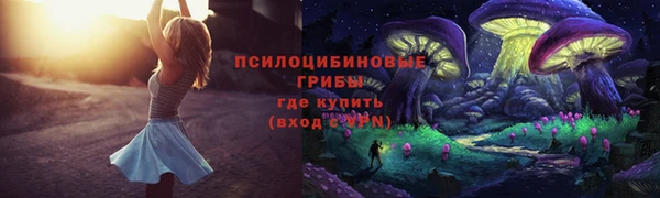 дурь Елизово