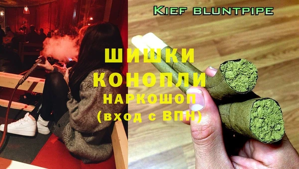 прущий лед Ельня