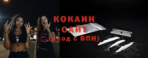 прущий лед Ельня