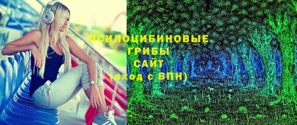 дурь Елизово