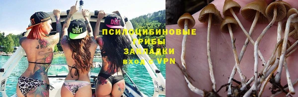 дурь Елабуга