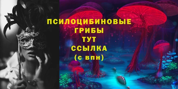 прущий лед Ельня