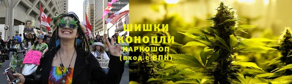 дурь Елабуга